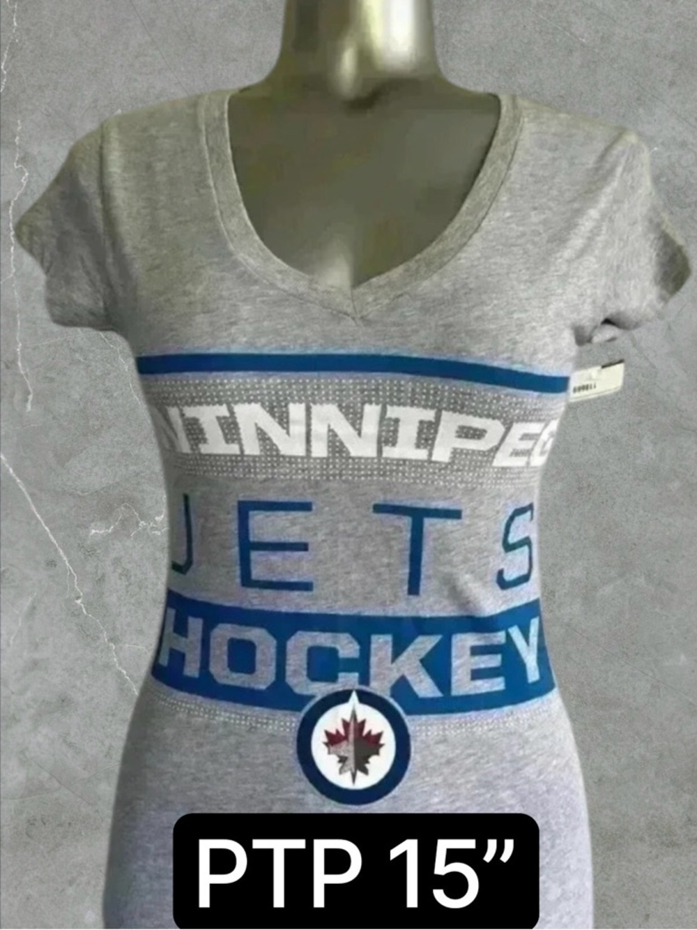 2 for $30 🆕 Winnipeg Jets Hockey  T-shirt